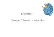 Enzymes: “Helper” Protein molecules What are enzymes? An enzyme is a biological catalyst that makes chemical reactions in cells possible