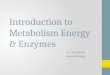 Introduction to Metabolism Energy & Enzymes Ms. Napolitano Honors Biology