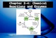 Chapter 2-4: Chemical Reactions and Enzymes. Explain how chemical reactions affect chemical bonds. Explain why enzymes are important to living things