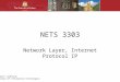 Björn Landfeldt School of Information Technologies NETS 3303 Network Layer, Internet Protocol IP