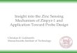 Insight into the Zinc Sensing Mechanism of Zinpyr-1 and Application Toward Probe Design Christian R. Goldsmith Massachusetts Institute of Technology