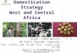 African Humid Tropics Regional Programme – World Agroforestry Centre 1 Allanblackia Integrated Domestication Strategy West and Central Africa Asaah ICRAF-WCA/HT