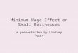 Minimum Wage Effect on Small Businesses a presentation by Lindsey Terry