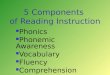 5 Components of Reading Instruction Phonics Phonemic Awareness Vocabulary Fluency Comprehension