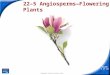Slide 1 of 24 Copyright Pearson Prentice Hall 22–5 Angiosperms—Flowering Plants