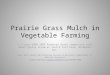 Prairie Grass Mulch in Vegetable Farming A 2-year USDA SARE Producer Grant comparison with small grains straw at Scotch Hill Farm, Brodhead, Wis. With
