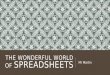 THE WONDERFUL WORLD OF SPREADSHEETS Mr Martin. LESSON 1 – OVERVIEW OF SPREADSHEETS & THE KEY TERMS Mr Martin