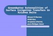 Groundwater Externalities of Surface Irrigation Transfers in Krishna Delta Bharat R Sharma, KVGK Rao, Anupama Sharma, Jean-Philippe Venot