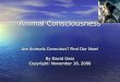 Animal Consciousness Are Animals Conscious? Find Our Now! By David Gass Copyright: November 16, 2006