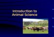 Introduction to Animal Science. Competency: Investigate agriculture animals in order to build a foundational knowledge for advanced animal science studies