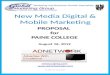 New Media Digital & Mobile Marketing   © 2012 AI SmartNet Marketing and Business Growth Specialists PROPOSAL for PAINE