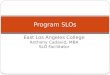 East Los Angeles College Anthony Cadavid, MBA SLO Facilitator Program SLOs