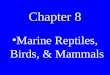 Chapter 8 Marine Reptiles, Birds, & Mammals. Tetrapods Four footed animals