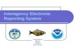 Interagency Electronic Reporting System I nternational P acific H alibut C ommission