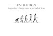 EVOLUTION A gradual change over a period of time