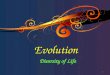Evolution Diversity of Life 1. Evolution is the slow, gradual change in a population of organisms over a long period of time 2