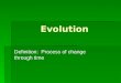 Evolution Definition: Process of change through time