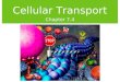 Cellular Transport Chapter 7.4 