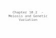 Chapter 10.2 - Meiosis and Genetic Variation. The Human Genome Genome: Complete complement of an organism’s DNA. –Includes genes (control traits) and