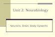Unit 2: Neurobiology Neurons, Brain, Body Systems