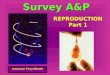 Instructor Terry Wiseth Survey A&P REPRODUCTION Part 1