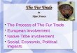 The Fur Trade in New France The Process of The Fur Trade The Process of The Fur Trade European involvement European involvement Native Tribe involvement