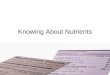 Knowing About Nutrients. Key Nutrient What It DoesWhere It’s Found Water Regulates body temperature. 2/3 body weight Beverages and Foods Protein Builds