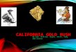 CALIFORNIA GOLD RUSH By Ava, Allison, Arjun, Chris, Cody and Steven