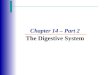 Chapter 14 – Part 2 The Digestive System. Stomach Anatomy  Located on the left side of the abdominal cavity  C-shaped  Nearly hidden by the liver and