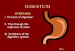 DIGESTION OVERVIEW I. Process of digestion II. Trip through the Digestive System III. Problems of the digestive system ND-1