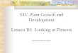 STC Plant Growth and Development Lesson 10: Looking at Flowers Kennewick School District