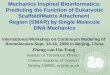 Mechanics Inspired Bioinformatics: Predicting the Function of Eukaryotic Scaffold/Matrix Attachment Region (SMAR) by Single Molecule DNA Mechanics International