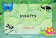 Insects Chapter 37. The Insect World Section 37.1