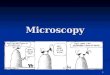 Microscopy 1. UNITS OF MEASUREMENT 1 m = 1000 mm (millimeters) 1 m = 1000 mm (millimeters) 1000 mm = 1 µm (microns) 1000 mm = 1 µm (microns) Bacteria