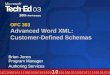 OFC 303 Advanced Word XML: Customer-Defined Schemas Brian Jones Program Manager Authoring Services