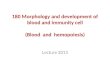 180 Morphology and development of blood and immunity cell (Blood and hemopoiesis) Lecture 2013