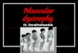 1 Muscular dystrophy Dr. Derakhshandeh. 2 Muscular dystrophy (MD) a group of rare inherited muscle diseases muscle fibers are unusually susceptible to