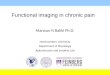 Functional imaging in chronic pain Marwan N Baliki Ph.D. Northwestern University Department of Physiology Apkarian pain and emotion Lab