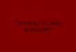 THYROID GLAND SURGERY. THYROID GLAND ANATOMY Detailed Thyroid Anatomy