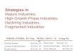 Strategies in Mature Industries, High-Growth-Phase Industries, Declining Industries, Fragmented Industries Shailaja Menon Roll No. 24 Gautam PrabhukeluskarRoll