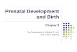 Prenatal Development and Birth Chapter 3 The Development of Children (5 th ed.) Cole, Cole & Lightfoot
