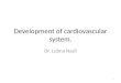 Development of cardiovascular system. Dr. Lubna Nazli 1
