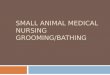 SMALL ANIMAL MEDICAL NURSING GROOMING/BATHING.  Grooming and medicated bathing are recommended for the treatment and prevention of many dermatologic