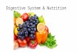 Digestive System & Nutrition. Digestive System BMI