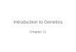 Introduction to Genetics Chapter 11. Review Mitosis Meiosis