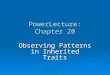 PowerLecture: Chapter 20 Observing Patterns in Inherited Traits