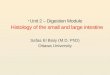 Unit 2 – Digestion Module Histology of the small and large intestine Safaa El Bialy (M.D, PhD) Ottawa University