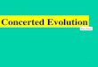 1 Concerted Evolution Dan Graur. 2 Three evolutionary models for duplicated genes