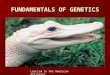 FUNDAMENTALS OF GENETICS Leucism in the American Alligator