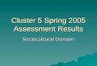Cluster 5 Spring 2005 Assessment Results Sociocultural Domain